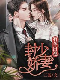 总裁的神秘小秘
